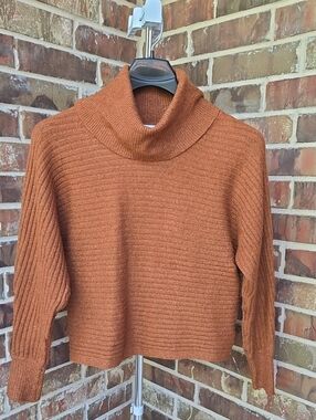Pink Rose Ribbed Turtleneck Sweater in Rust Orange